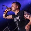 Click to enlarge GutterPunk - Professional Concert Photography